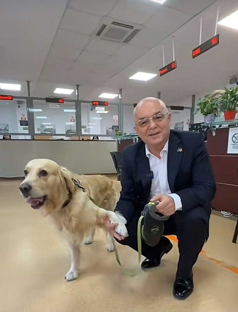 Animale de companie &icirc;n primărie