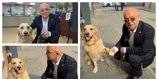 Instituția din Cluj în care oamenii pot merge cu animalul de companie. Emil Boc a făcut anunțul: „Un oraș modern e un oraș empatic!”
