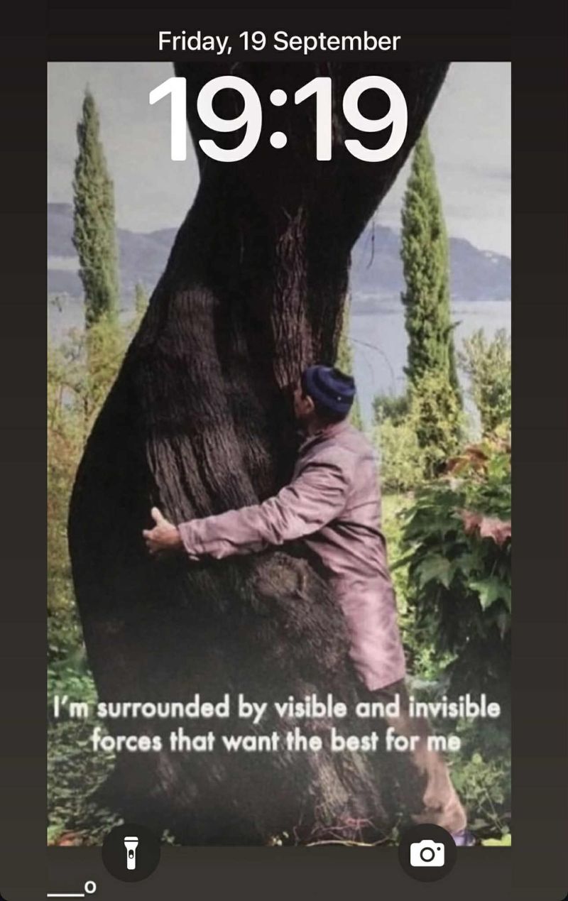 Mesajul Doinei Teodoru