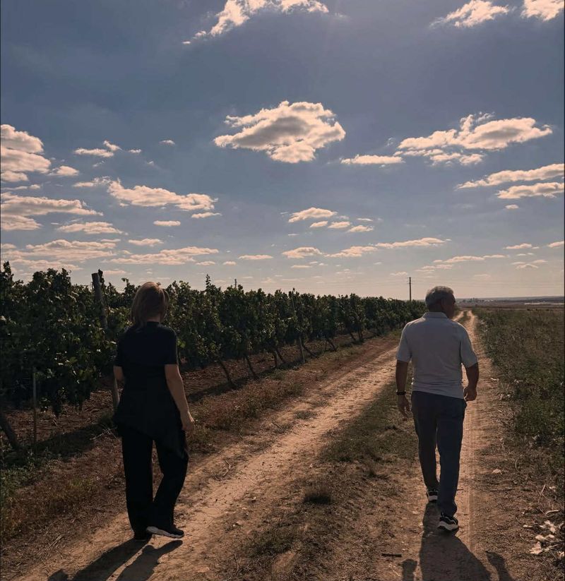 Simona Halep și tatăl ei