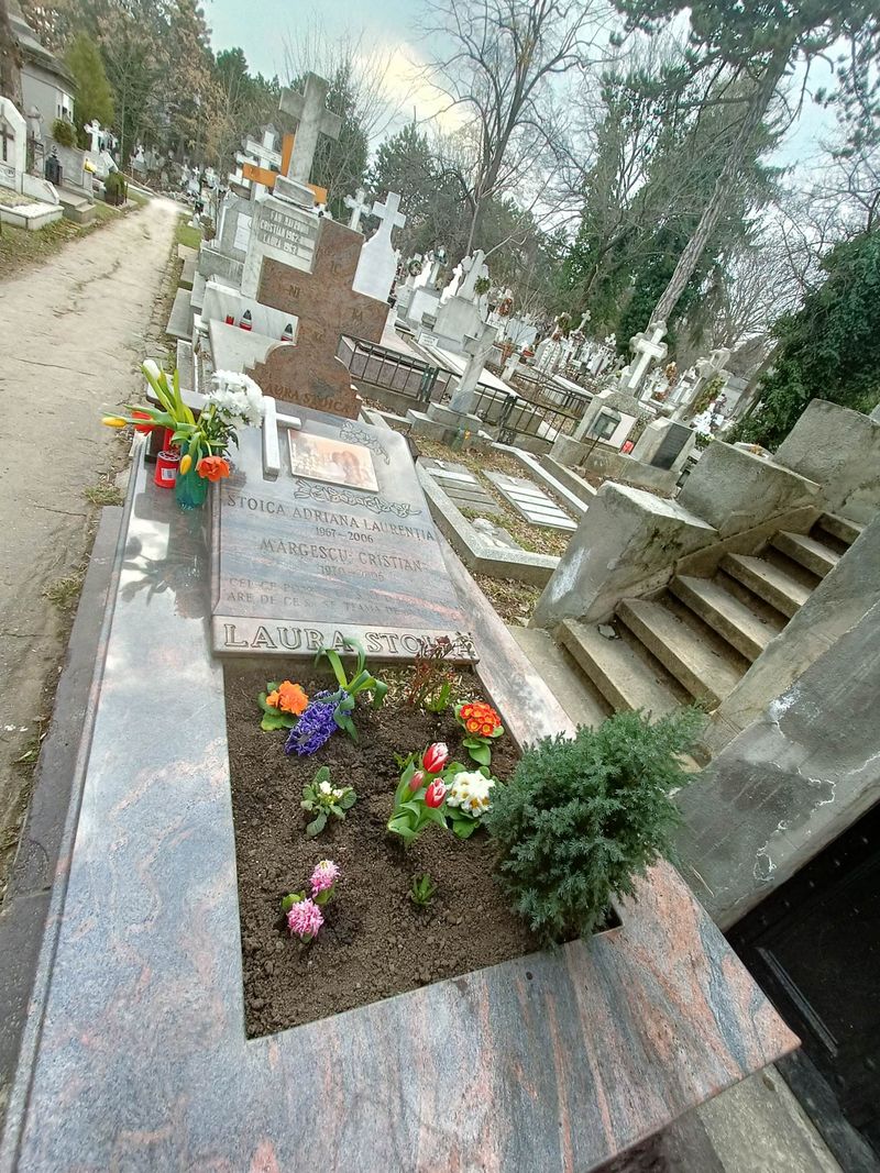 Morm&acirc;ntul Laurei Stoica