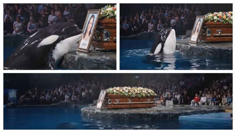 A trecut o lună de la 