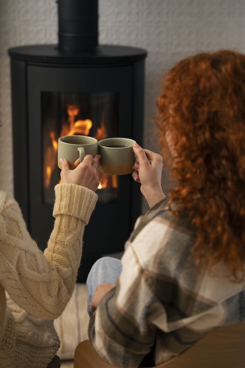 Ajutor lemne pentru pensionari