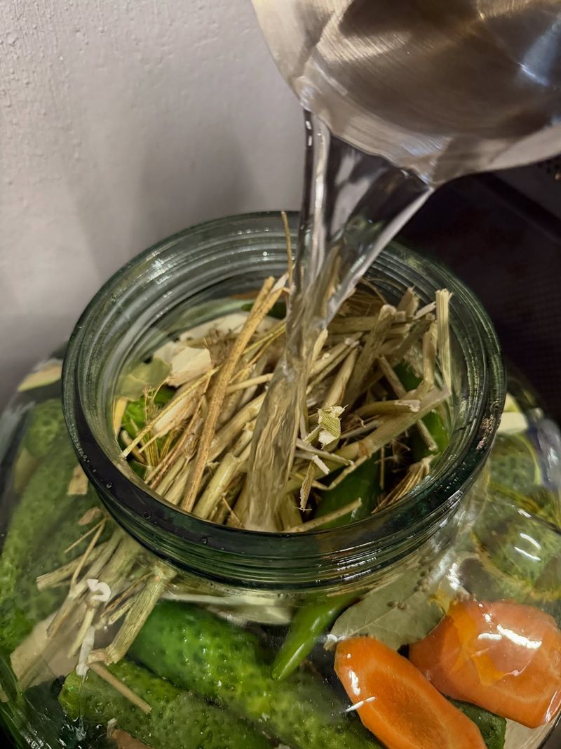 muraturile in saramura