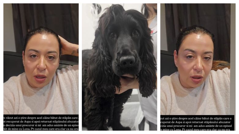 Oana Roman, despre cazul animalul de companie care a fost torturat de stăpân și care trebuie să se întoarcă în familie. Ce a pățit vedeta legat de câinele ei: „Au făcut în cazul acesta o mizerie.”