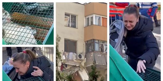 Revedere de-a dreptul emoționantă între o pisică recuperată din blocul unde a avut loc deflagrația de pe Calea Rahovei, și stăpâna sa! Filmulețul a emoționat profund