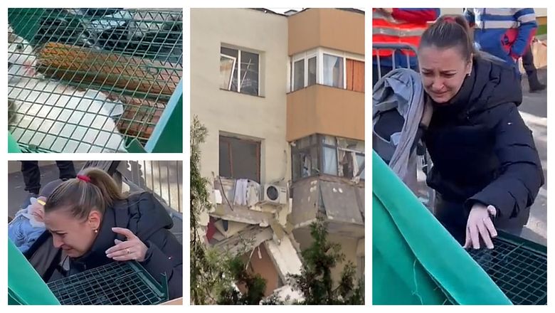 Revedere de-a dreptul emoționantă între o pisică recuperată din blocul unde a avut loc deflagrația de pe Calea Rahovei, și stăpâna sa! Filmulețul a emoționat profund