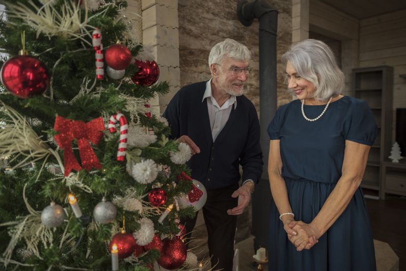 Pensii livrate în luna decembrie