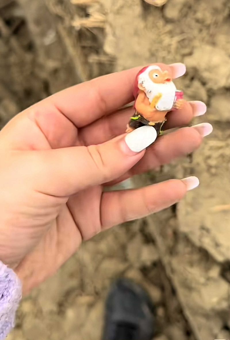 Maria Karapa-demolare casă