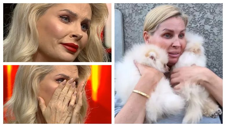 Ce s-a întâmplat cu cățeii primiți cadou ai Andreei Bănică. Artista a făcut anunțul trist: „S-a gândit doar la bucuria de moment a copiilor.”