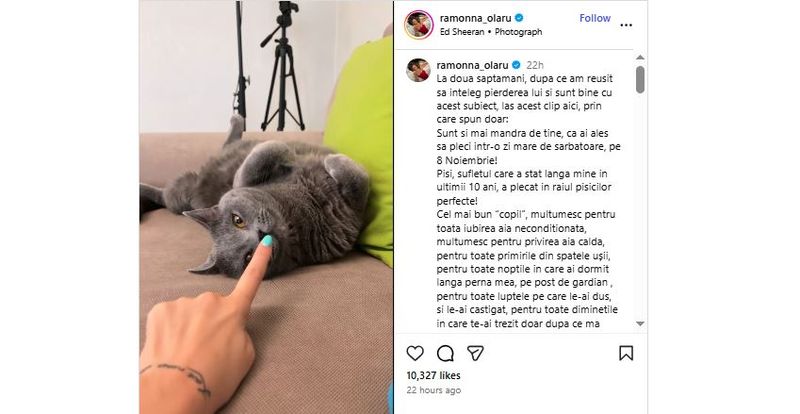 retelele de socializare