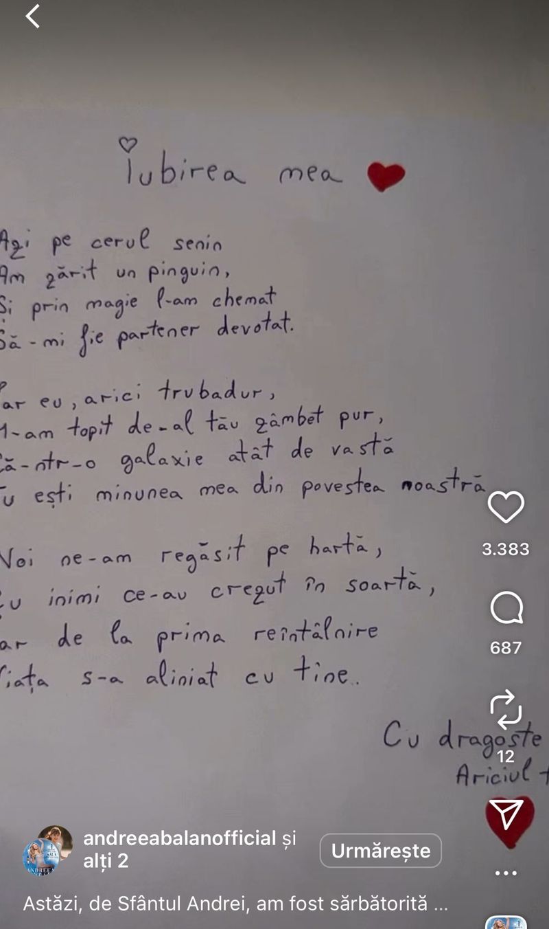 Aniversare Andreea Bălan