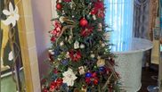 Bradul împodobit de Irina și Monica