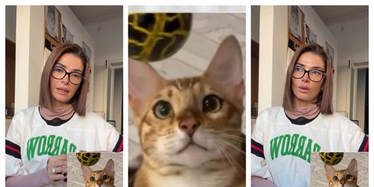 Alina Pușcaș, strigăt de ajutor pe rețelele de socializare: „Încerc să nu îmi pierd speranța.”