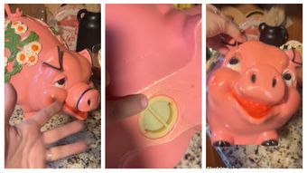 O femeie din Statele Unite a cumpărat o pușculiță roz dintr-un târg de vechituri! Ce a descoperit în ea, odată ce a ajuns acasă, avea să uimească o lume întreagă