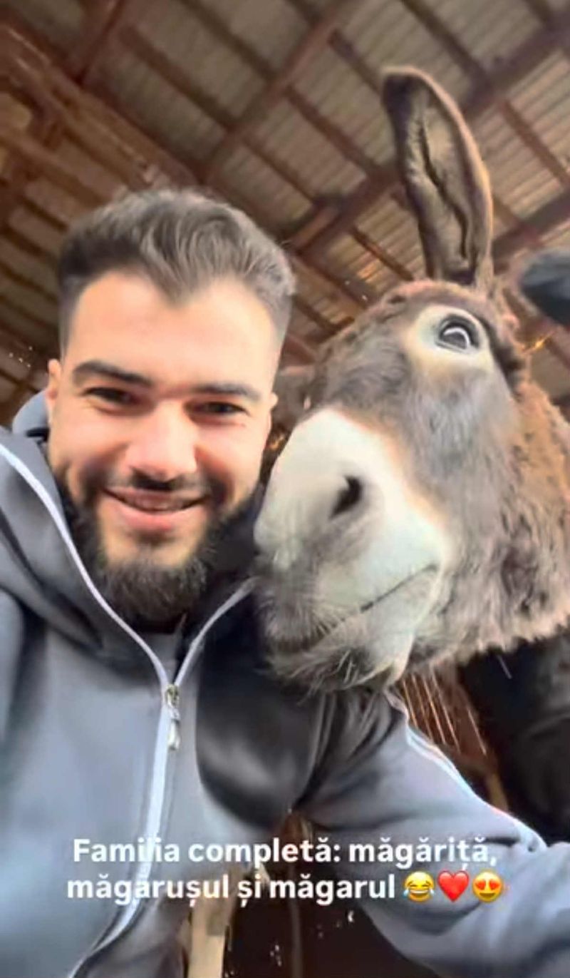 Măgarii lui Iancu Sterp