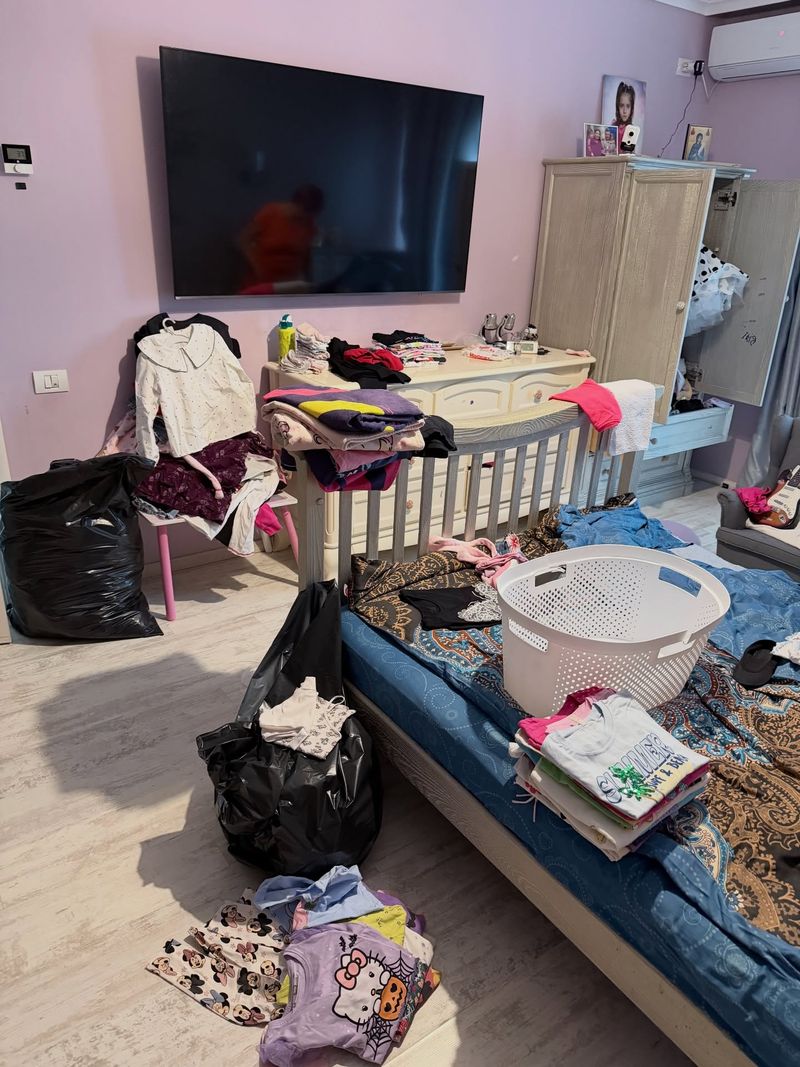 Gabriela Cristea - donații