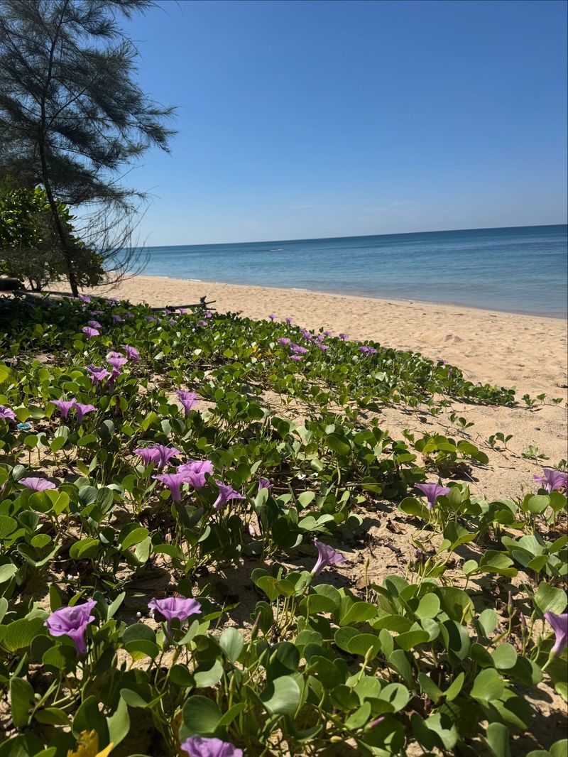 Laura Cosoi - vacanță