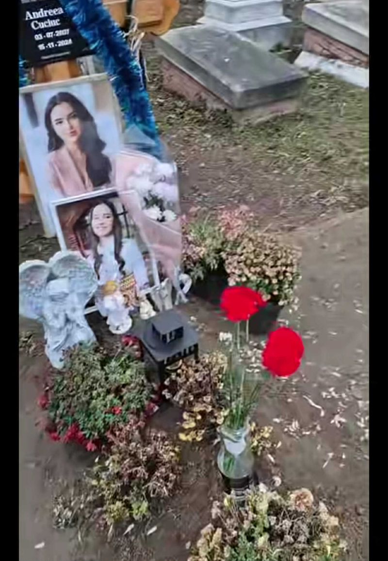 Morm&acirc;nt Andreea Cuciuc