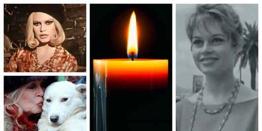 Actrița Brigitte Bardot, legenda cinematografiei franceze, a murit la 91 de ani