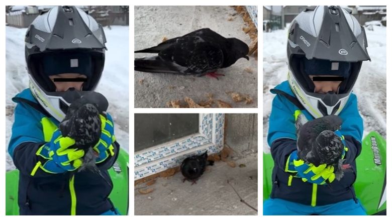 Cristina Teleanu a arătat toate diplomele de studiu obținute până acum. Ce sfat oferă: „Când te bagi în seamă cu toți analfabeții, trebuie să te cobori, încât să-ți fie și rușine cine ești.”