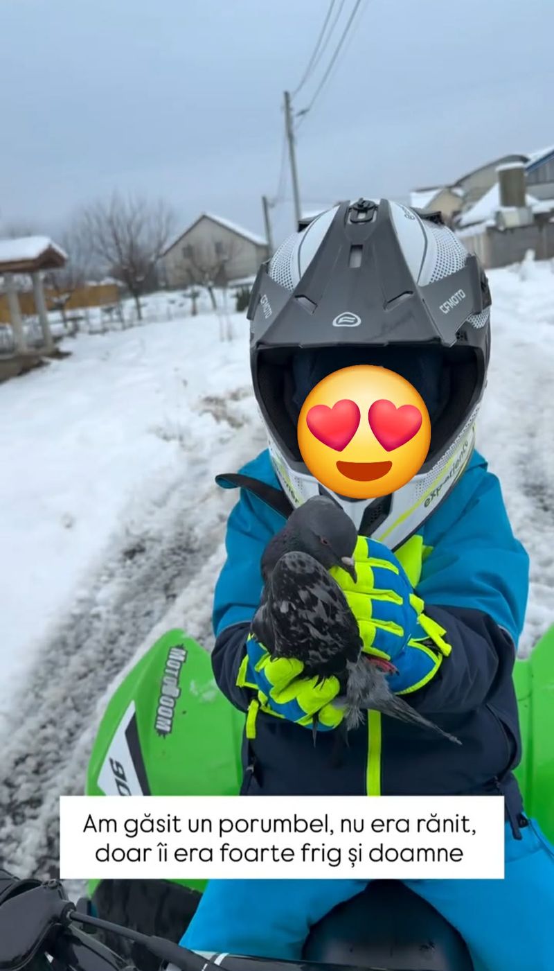 Milan și porumbelul