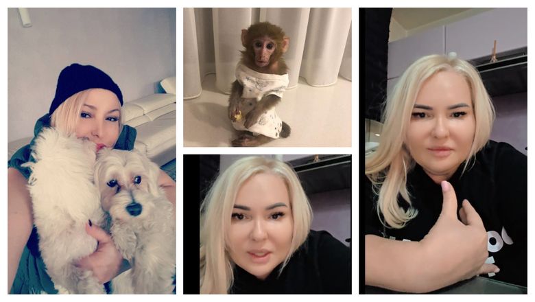 Motivul pentru care Viorica de la Clejani ar alege mereu animalele în locul oamenilor. Artista, mesaj tranșant pentru cei lipsiți de empatie: “Când un om nu e bine, voi îl faceți să moară.” Motivul pentru care Viorica de la Clejani ar alege mereu animalele în locul oamenilor. Artista, mesaj tranșant pentru cei lipsiți de empatie: “Când un om nu e bine, voi îl faceți să moară.”