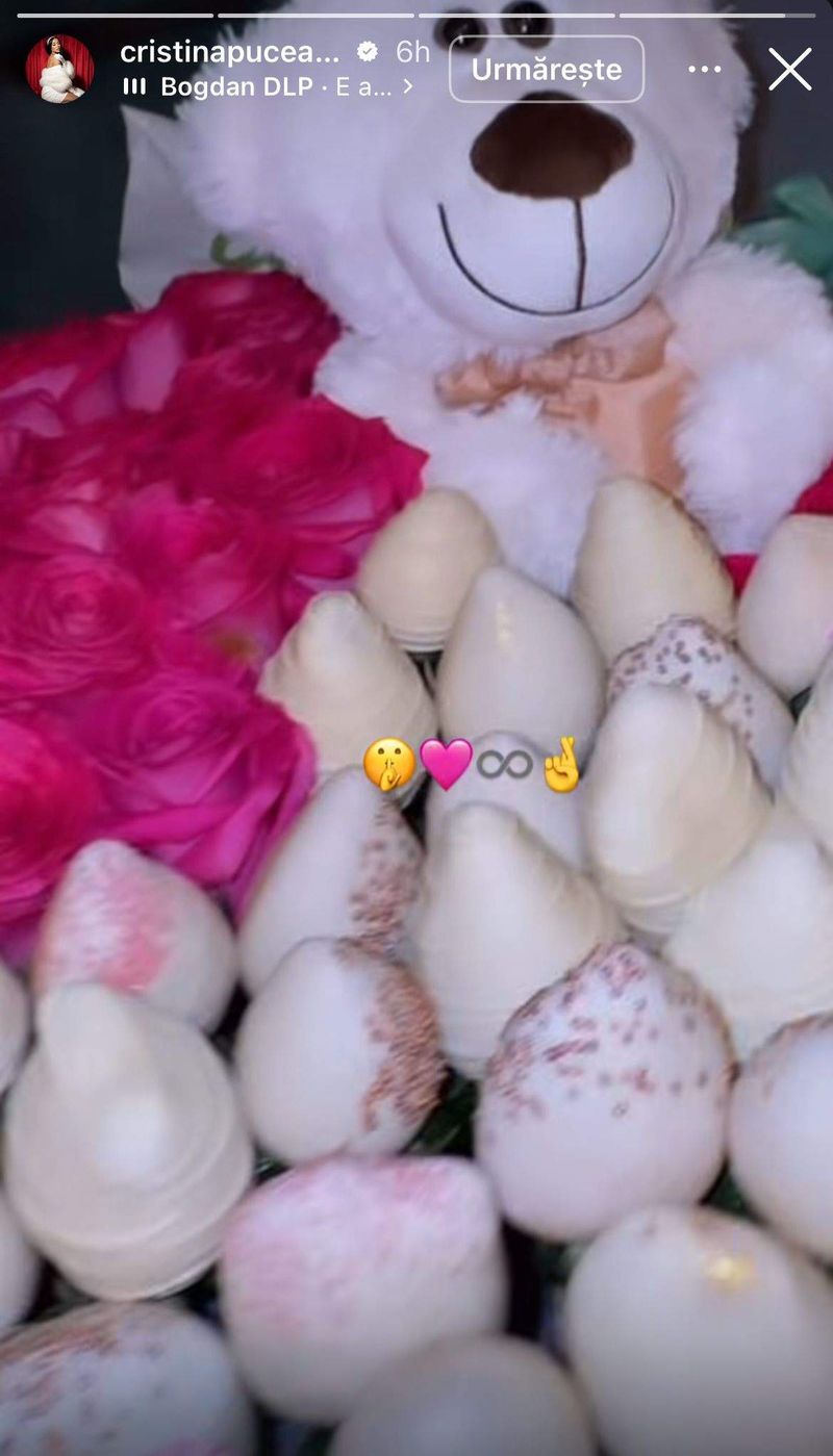 Cadouri Cristina Pucean