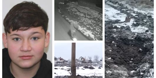 Suferință de nedescris pentru familia adolescentului ucis cu sânge rece în Timiș, chiar de prietenii lui! Aceștia sunt cunoscuți în sat, pentru faptul că provin din familii problematice