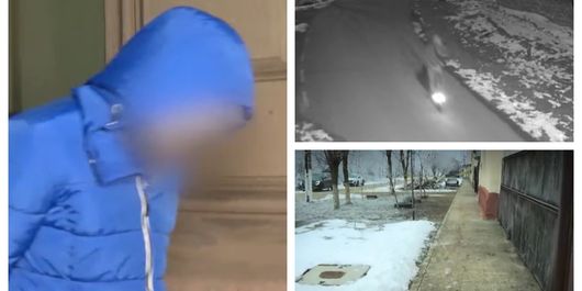 Cele mai importante aspecte legate de crima fără margini din Timiș, analizate amănunțit de psihologul Keren Rosner! Ce a dus la acest comportament șocant al agresorilor? 