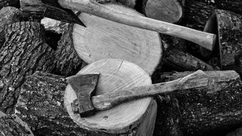 Ce i-a cauzat, de fapt, moartea lui Alin, tânărul ucis de 