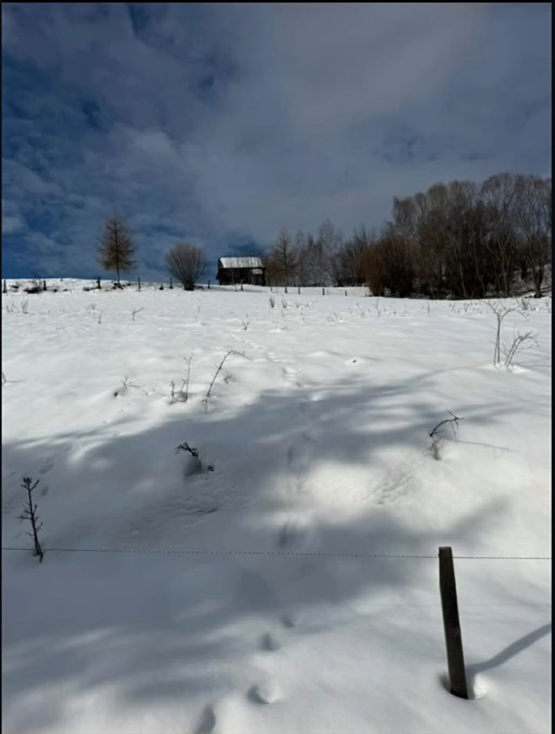 Romanița Iovan &icirc;n Munții Apuseni