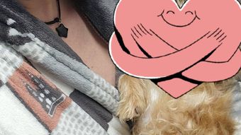 Cristi din Banat își găsește cu greu cuvintele după ce animalul de companie a murit. Ce gest a făcut mama lui, în semn de recunoștință pentru necuvântător: “Nu știm ce să facem în aceste clipe.”