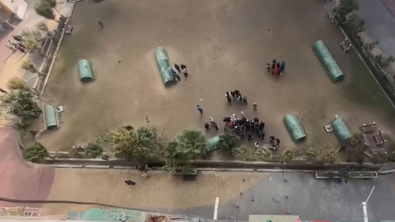 Trei fete s-au sinucis