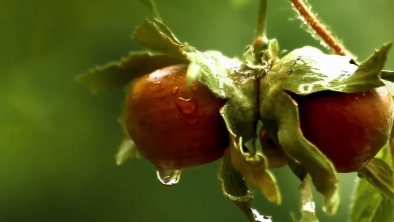 O viață ca în filme! De la clovn pentru petreceri la o carieră strălucită în actorie și muzică