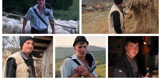 Povestea emoționantă a lui Ionuț Lazăr, tânărul ciobănaș care s-a întors din străinătate și și-a găsit liniștea la stână: „Mi-a schimbat viața când l-am pierdut pe tata.”