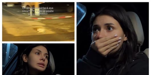 Marisa Paloma a tras un semnal de alarmă în mediul online! Ce gest impresionant a făcut vedeta, după ce a găsit o pisică rănită pe stradă: „Doamne, nu îmi vine să cred, tremur toată!”