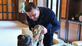 Povestea pisicii Cathy, noul animal de companie al Primăriei Municipiului București! Gestul emoționant al lui Ciprian Ciucu: „Și-a dorit special o pisicuță care nu are șanse.”