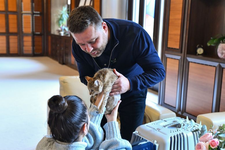 Povestea pisicii Cathy, noul animal de companie al Primăriei Municipiului București! Gestul emoționant al lui Ciprian Ciucu: „Și-a dorit special o pisicuță care nu are șanse.”