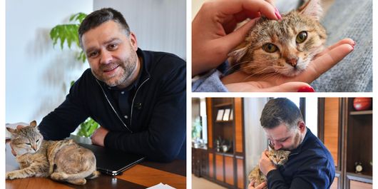 Povestea pisicii Cathy, noul animal de companie al Primăriei Municipiului București! Gestul emoționant al lui Ciprian Ciucu: „Și-a dorit special o pisicuță care nu are șanse.”