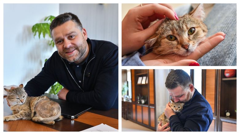 Povestea pisicii Cathy, noul animal de companie al Primăriei Municipiului București! Gestul emoționant al lui Ciprian Ciucu: „Și-a dorit special o pisicuță care nu are șanse.”