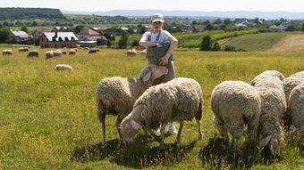 Nici nu s-a terminat iarna că ne gândim la sărbătorile pascale. Cât vor trebui românii să scoată din buzunar dacă vor carne de miel pe masă