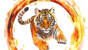 Tigrul de foc