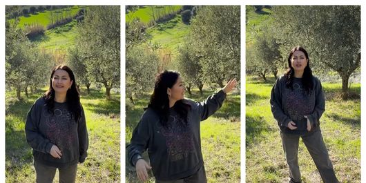 Ce planuri are Gabriela Cristea în Italia? Vedeta vrea să investească într-o afacere surprinzătoare: „Trebuie să faci demersuri speciale ca să scoți un măslin și să îl replantezi în altă parte.”