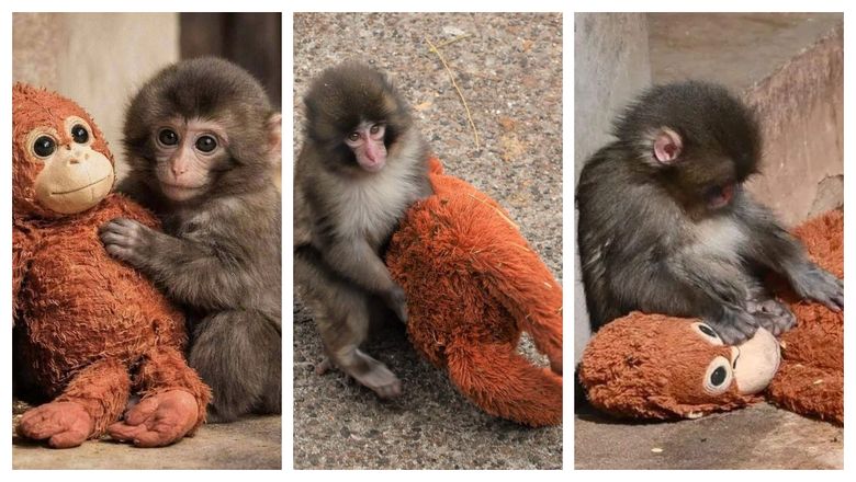 Tendințe în machiaj pentru primăvară: Look-uri delicate și naturale