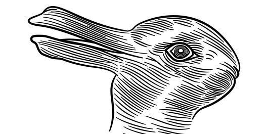 Ce vezi prima dată: rață sau iepure? Iluzia optică care îți dezvăluie adevărata personalitate