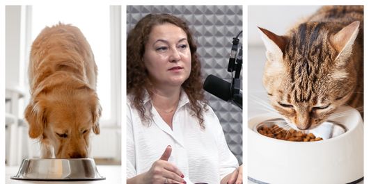 Ce se ascunde în hrana animalelor de companie? Medicul Gianina Răsvan, despre cerealele fin alimentația necuvântătoarelor: “Asta aș vrea să rețină proprietarii de animale!”