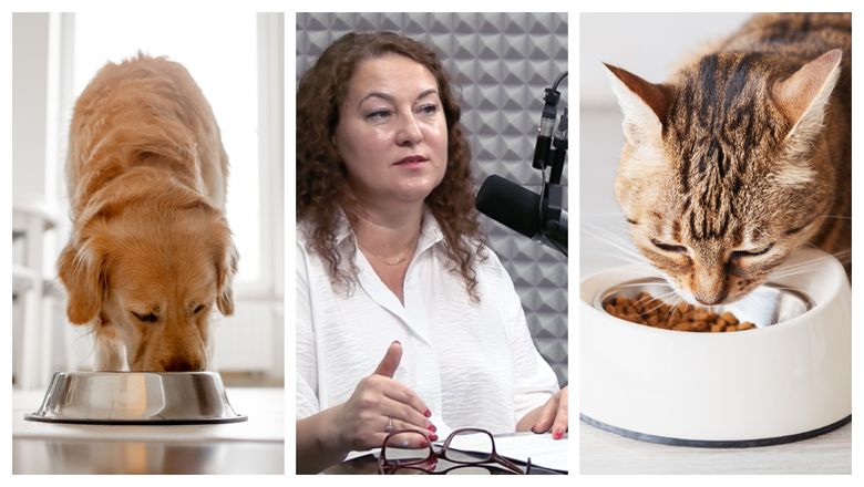 Ce se ascunde în hrana animalelor de companie? Medicul Gianina Răsvan, despre cerealele fin alimentația necuvântătoarelor: “Asta aș vrea să rețină proprietarii de animale!”