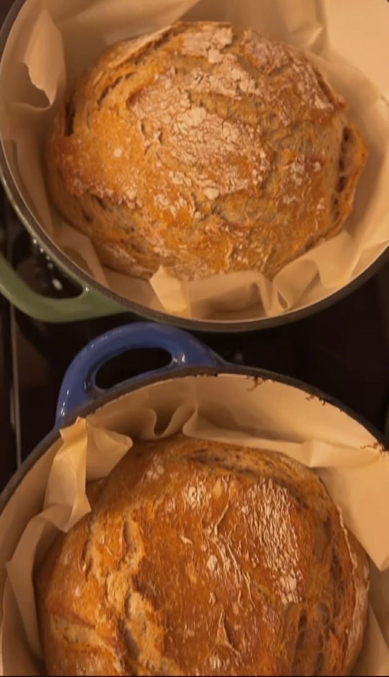 P&acirc;ine de casă-Ileana Sterp