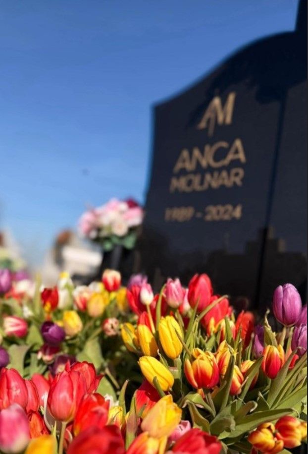 Morm&acirc;nt Anca Molnar